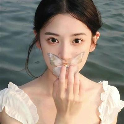垂花琴木